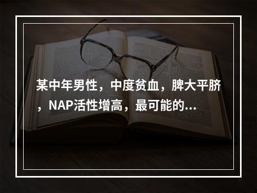 某中年男性，中度贫血，脾大平脐，NAP活性增高，最可能的诊断