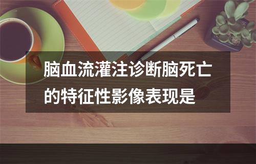 脑血流灌注诊断脑死亡的特征性影像表现是