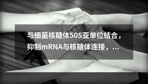 与细菌核糖体50S亚单位结合，抑制mRNA与核糖体连接，阻止