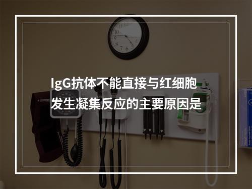 IgG抗体不能直接与红细胞发生凝集反应的主要原因是