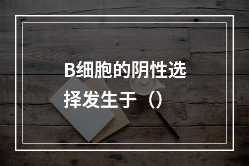 B细胞的阴性选择发生于（）