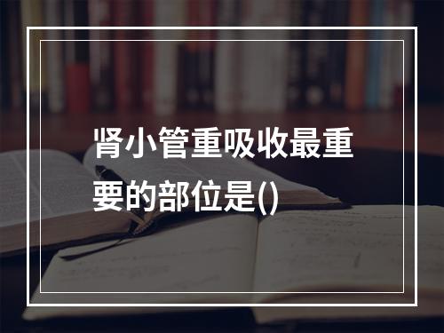 肾小管重吸收最重要的部位是()