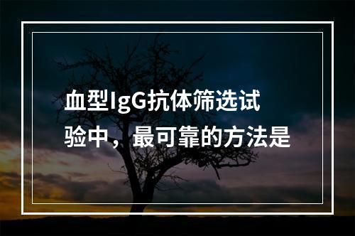 血型IgG抗体筛选试验中，最可靠的方法是