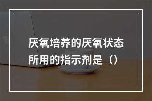 厌氧培养的厌氧状态所用的指示剂是（）