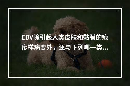 EBV除引起人类皮肤和黏膜的疱疹样病变外，还与下列哪一类疾病