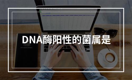 DNA酶阳性的菌属是