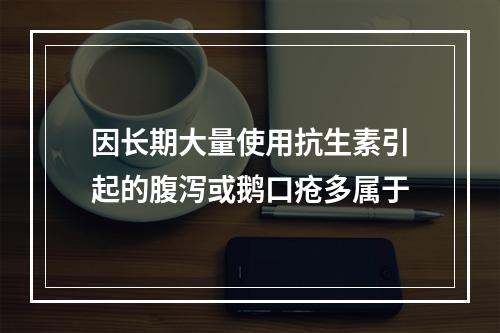 因长期大量使用抗生素引起的腹泻或鹅口疮多属于