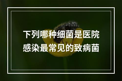 下列哪种细菌是医院感染最常见的致病菌