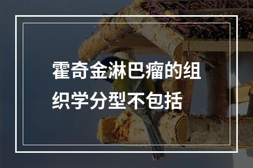 霍奇金淋巴瘤的组织学分型不包括