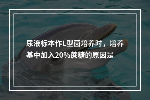 尿液标本作L型菌培养时，培养基中加入20％蔗糖的原因是