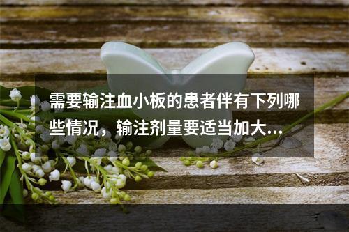 需要输注血小板的患者伴有下列哪些情况，输注剂量要适当加大()