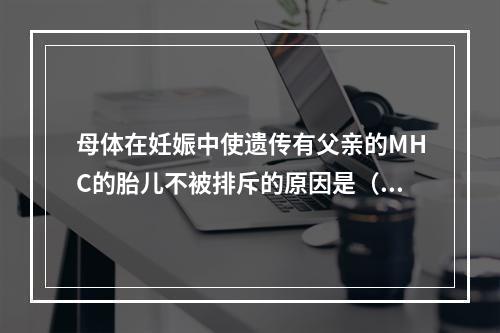 母体在妊娠中使遗传有父亲的MHC的胎儿不被排斥的原因是（）