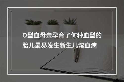 O型血母亲孕育了何种血型的胎儿最易发生新生儿溶血病