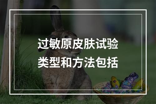 过敏原皮肤试验类型和方法包括