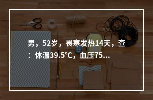 男，52岁，畏寒发热14天，查：体温39.5℃，血压75／5