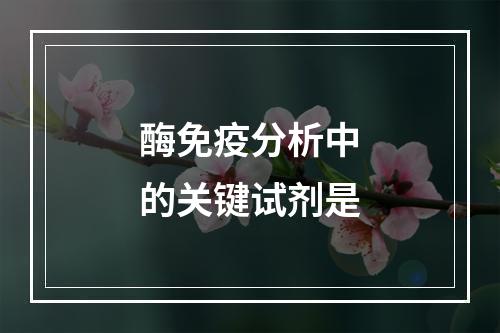 酶免疫分析中的关键试剂是