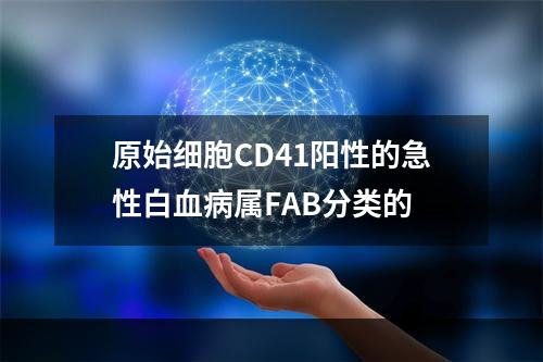 原始细胞CD41阳性的急性白血病属FAB分类的