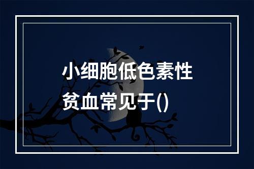 小细胞低色素性贫血常见于()