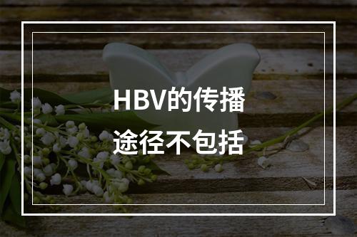 HBV的传播途径不包括