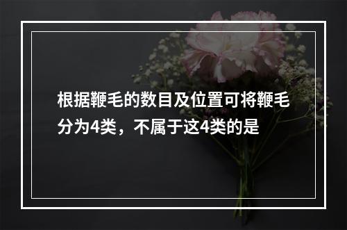 根据鞭毛的数目及位置可将鞭毛分为4类，不属于这4类的是