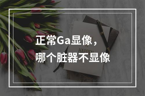 正常Ga显像，哪个脏器不显像