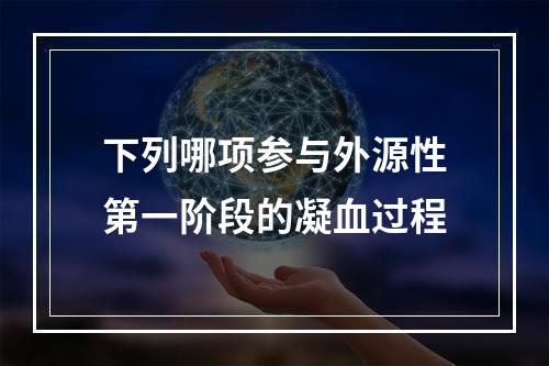 下列哪项参与外源性第一阶段的凝血过程