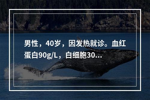 男性，40岁，因发热就诊。血红蛋白90g/L，白细胞30×1