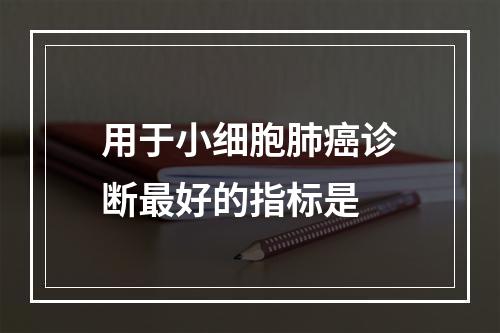 用于小细胞肺癌诊断最好的指标是