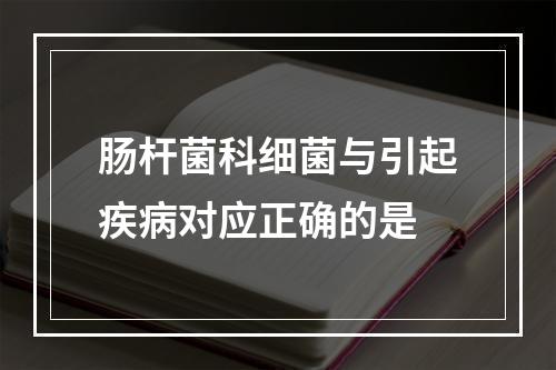 肠杆菌科细菌与引起疾病对应正确的是