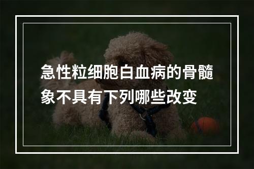 急性粒细胞白血病的骨髓象不具有下列哪些改变