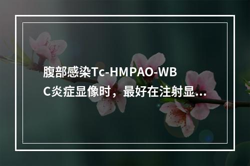 腹部感染Tc-HMPAO-WBC炎症显像时，最好在注射显像剂