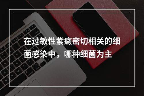 在过敏性紫癜密切相关的细菌感染中，哪种细菌为主