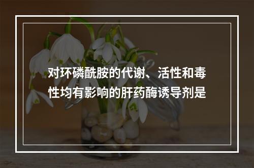 对环磷酰胺的代谢、活性和毒性均有影响的肝药酶诱导剂是