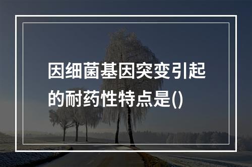 因细菌基因突变引起的耐药性特点是()