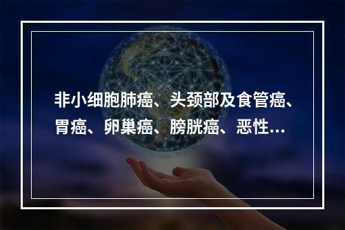 非小细胞肺癌、头颈部及食管癌、胃癌、卵巢癌、膀胱癌、恶性淋巴