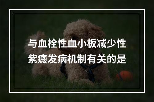 与血栓性血小板减少性紫癜发病机制有关的是