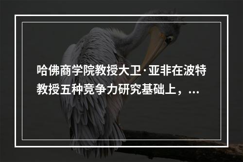 哈佛商学院教授大卫·亚非在波特教授五种竞争力研究基础上，提出