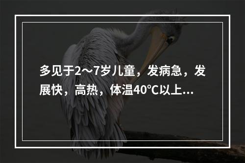 多见于2～7岁儿童，发病急，发展快，高热，体温40℃以上，中