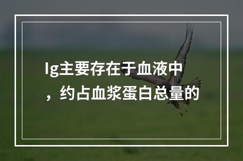 Ig主要存在于血液中，约占血浆蛋白总量的