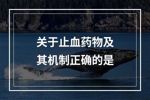 关于止血药物及其机制正确的是