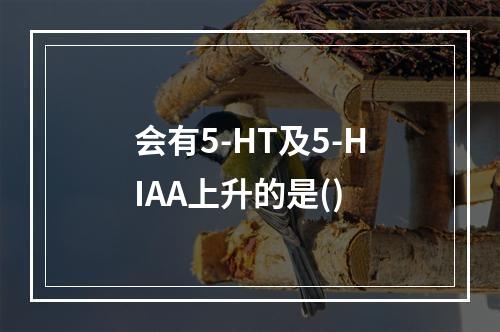 会有5-HT及5-HIAA上升的是()