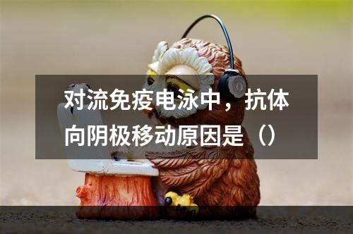 对流免疫电泳中，抗体向阴极移动原因是（）