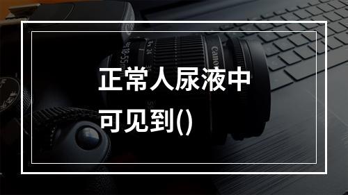 正常人尿液中可见到()