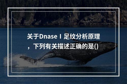 关于DnaseⅠ足纹分析原理，下列有关描述正确的是()