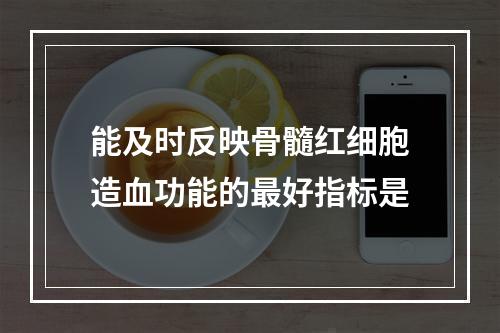 能及时反映骨髓红细胞造血功能的最好指标是