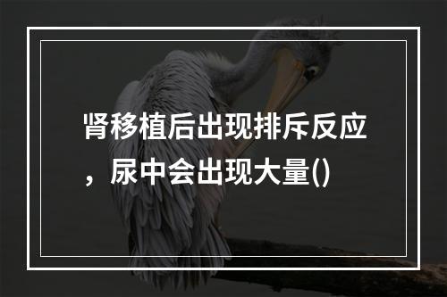 肾移植后出现排斥反应，尿中会出现大量()