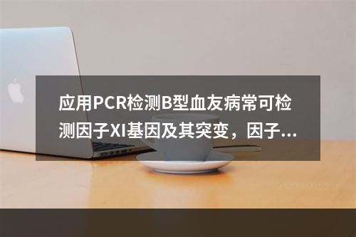 应用PCR检测B型血友病常可检测因子Ⅺ基因及其突变，因子Ⅺ基