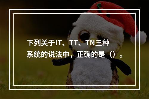 下列关于IT、TT、TN三种系统的说法中，正确的是（）。