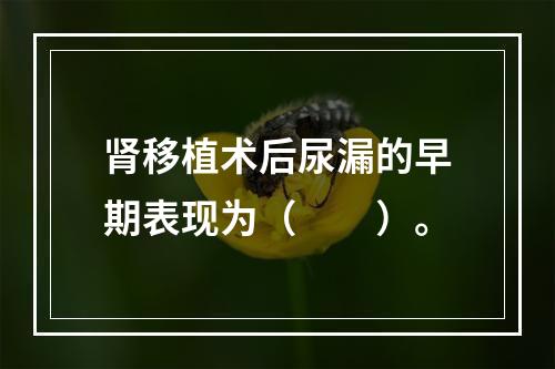 肾移植术后尿漏的早期表现为（　　）。