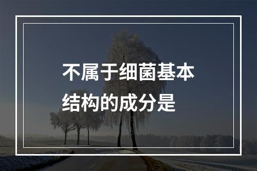 不属于细菌基本结构的成分是